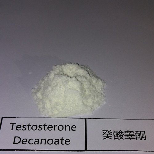 Testosterone Decanoate