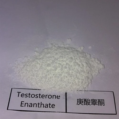  Testosterone Enanthate