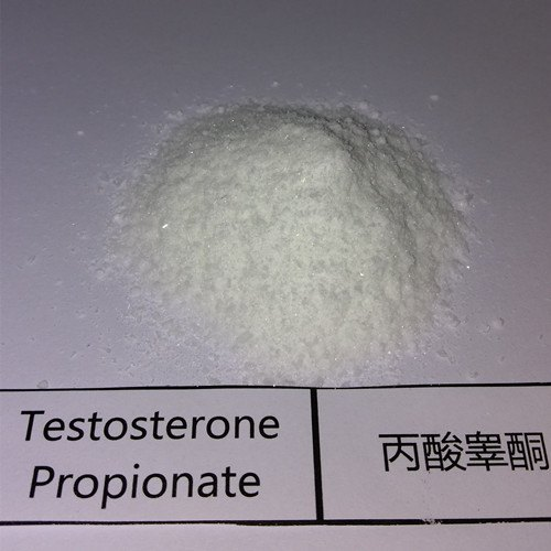 Testosterone Propionate