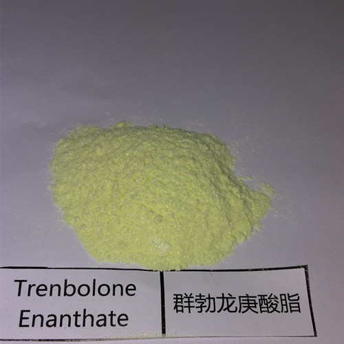 Trenbolone Enanthate